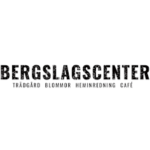 Bergslagscenter